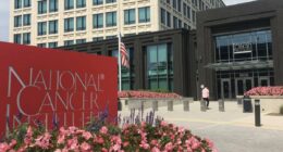 National Institutes of Health testing controversial Covid drug as new cancer treatment