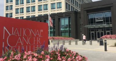 National Institutes of Health testing controversial Covid drug as new cancer treatment