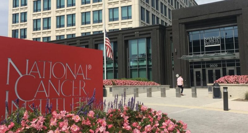 National Institutes of Health testing controversial Covid drug as new cancer treatment