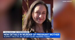 Nedas Revuckas, suspect in Downers Grove murder of pregnant woman Eliza Morales, returns to jail after being injured in custody