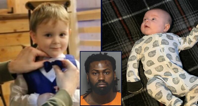 'Never applied his brakes': Man 'slammed' into family's SUV at 90 mph, killing 2 young brothers