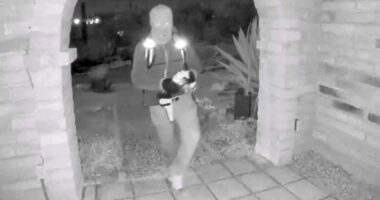 New FBI video in Nancy Guthrie hunt shows jawline, gait details expert says shouldn’t be ignored