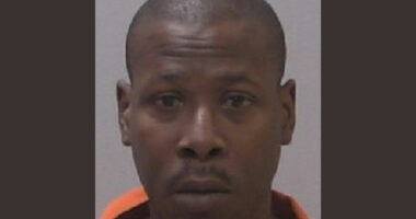 New Homeowner Finds Decaying Bodies in Shed During Renovation, Previous Resident Arrested