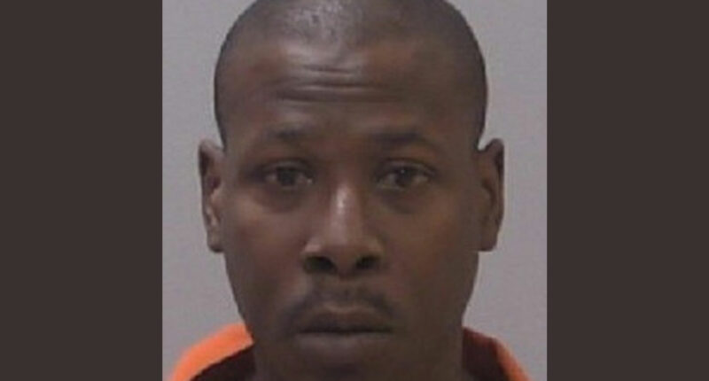 New Homeowner Finds Decaying Bodies in Shed During Renovation, Previous Resident Arrested