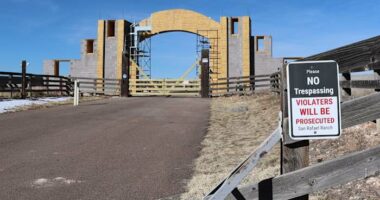 New Mexico legislators launch investigation into Jeffrey Epstein's secluded ranch