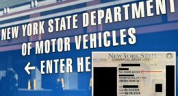 New York to stop giving commercial drivers licenses to non-citizens