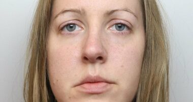 New research cast doubts on evidence submitted to help free Lucy Letby