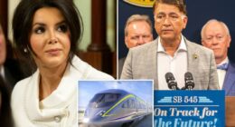 Newsom's High Speed Rail CEO must go: Republican lawmaker