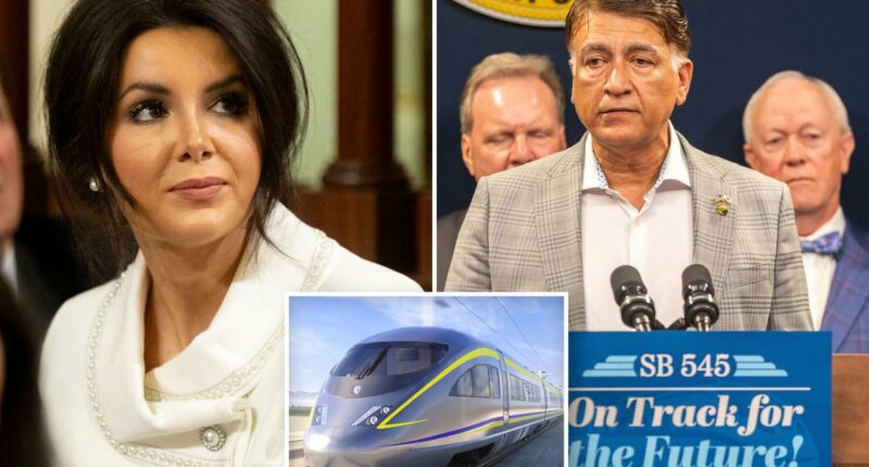 Newsom's High Speed Rail CEO must go: Republican lawmaker