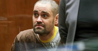 Nick Reiner pleads not guilty to murdering his parents Rob and Michele