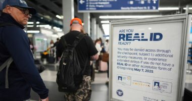No REAL ID yet? You can still fly, but it may cost $45 without another form of accepted ID