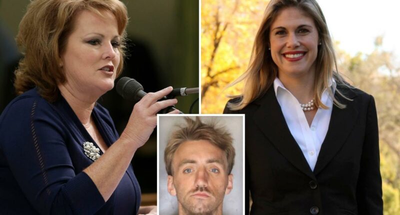 No more 'get out of jail free' cards for California criminals claiming mental illness: pols