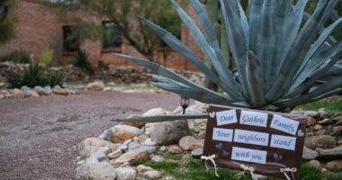 No suspect in disappearance of 'Today' show host Savannah Guthrie's mom as family intensifies search