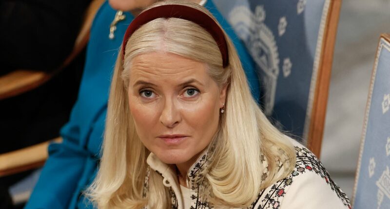 Norway's crown princess issues second for Epstein links