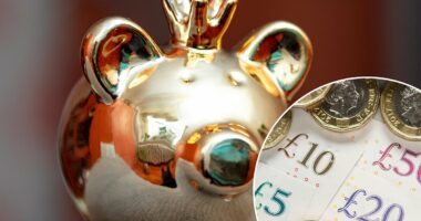 Number of Isa millionaires jumps 74% at one investment platform - here's what they invest in