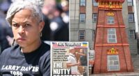 Nutty professor Shellyne Rodriguez who held machete to Post reporter's neck tapped by NYC agency for $407,000 art installation