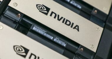 Nvidia is partnering with major Indian VC firms in search for the country's next AI start-ups