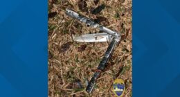 Officers shoot, kill man who 'aggressively' approached them with knife in Jacksonville's Dinsmore area: JSO