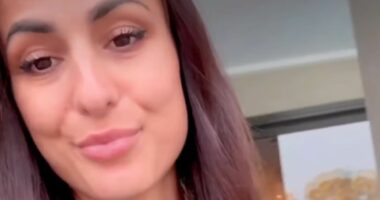 One Nation's polling landslide is here