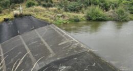 A man has been killed, thousands of properties are without power, and flights have been cancelled as wild storms lash large parts of New Zealand.