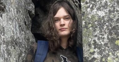 OpenAI staff raised alarm about posts by transgender school shooter