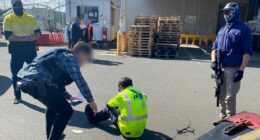 Organised crime figure used airport insiders and plane in $40 million drug plot