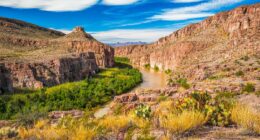 Outrage over plans to build border wall through Texas national park