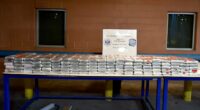 Over 190,000 'lethal' doses of cocaine seized in Valentine's Day week bust at southern border