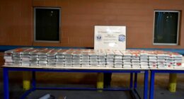 Over 190,000 'lethal' doses of cocaine seized in Valentine's Day week bust at southern border