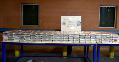 Over 190,000 'lethal' doses of cocaine seized in Valentine's Day week bust at southern border