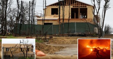 Pacific Palisades wildfire recovery plan calls for nearly $1 billion in upgrades