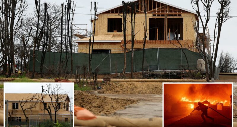 Pacific Palisades wildfire recovery plan calls for nearly $1 billion in upgrades