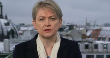 Palestine Action 'not a normal protest group' - Cooper