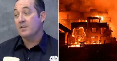 Palisades fire ignition blaze was never put out according to LA firefighter