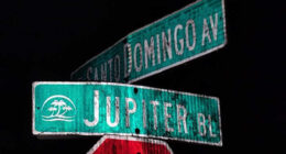 Palm Bay police await identification after remains found near missing person investigation