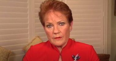 Pauline Hanson UNLEASHES after the AFP receive reports of a crime over One Nation leader's shocking 'no good Muslim' comment: 'Want to put me back in jail!'