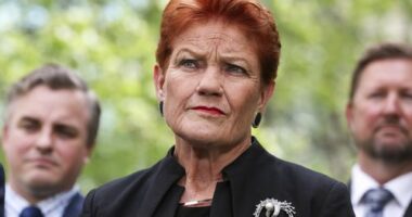 One Nation leader Senator Pauline Hanson during a press conference at Parliament House in Canberra on Monday 19 January 2026.