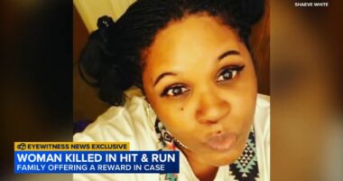 Pedestrian Shanna White killed in Winthrop Harbor hit-and-run on Sheridan Road, police say; daughter offers reward in case