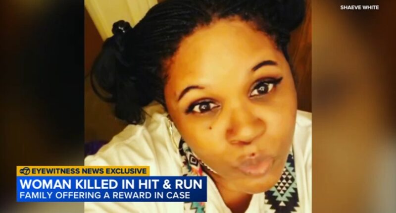 Pedestrian Shanna White killed in Winthrop Harbor hit-and-run on Sheridan Road, police say; daughter offers reward in case