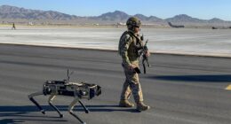 Pentagon urged to replace K-9s with robo-dogs after report