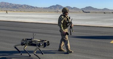 Pentagon urged to replace K-9s with robo-dogs after report