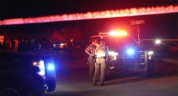 Person questioned in Nancy Guthrie disappearance released after Arizona stop