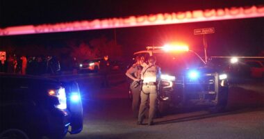 Person questioned in Nancy Guthrie disappearance released after Arizona stop