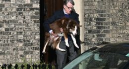 Peter Mandelson breaks cover for first time since Epstein scandal