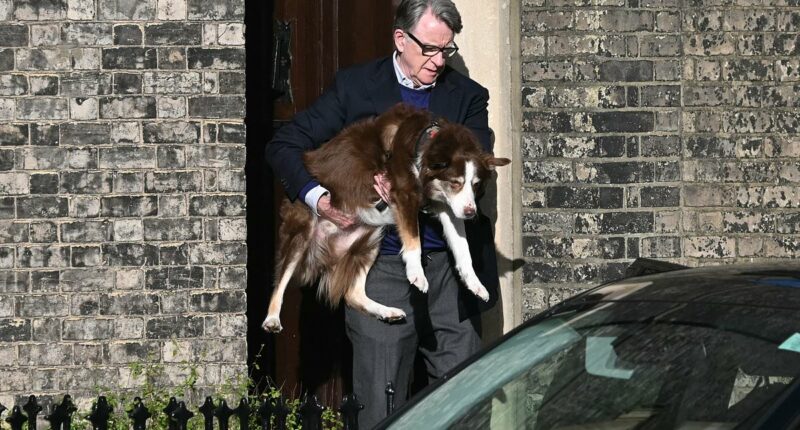 Peter Mandelson breaks cover for first time since Epstein scandal