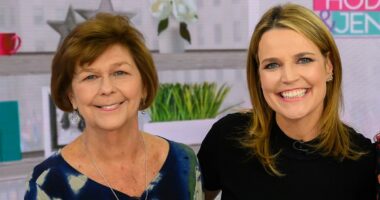 Photos of Nancy Guthrie crime scene as cops investigate 'ransom notes'