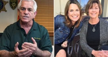 Pima County Sheriff Chris Nanos says DNA tech issue may take months to fix in Nancy Guthrie case