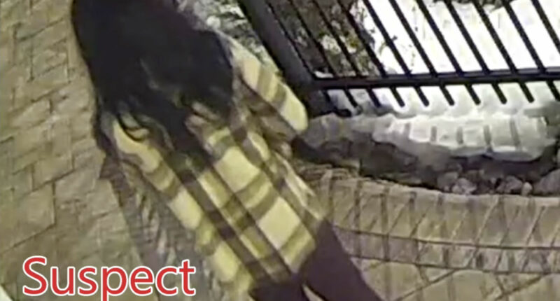 Police Release Suspect Video After Millionaire Philanthropist Shot in the Head at Senior Living Facility