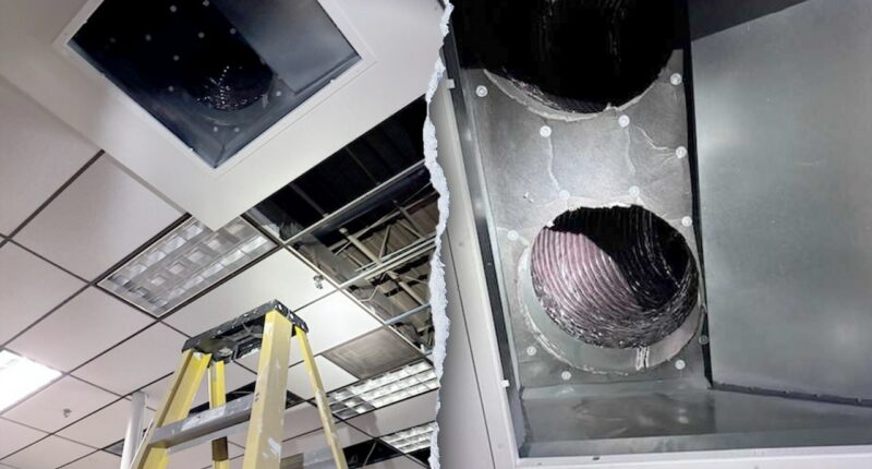 Police dog helps sniff out find burglary suspect hiding in air vent