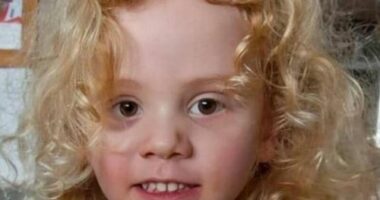 SA Police has released the first picture of missing 4-year-old boy Gus Lamont.